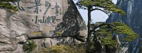 原来迎客松的待遇这么好! 为这些人点赞!