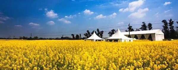 成都周边春色最撩人的8个地方,美到少女心炸裂!