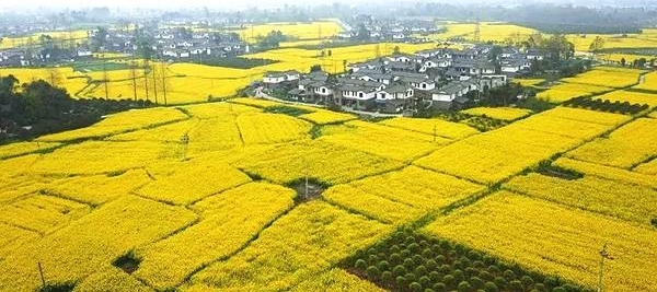成都周边春色最撩人的8个地方,美到少女心炸裂!