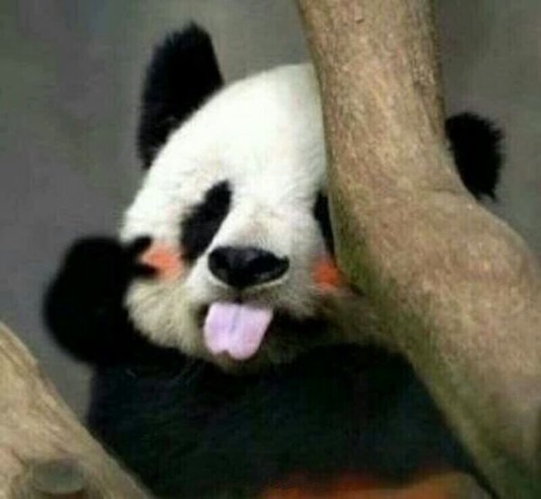 ܶɰ