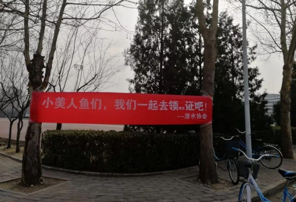 Ů���������ӣ��廪������Ҳ��û˭��!