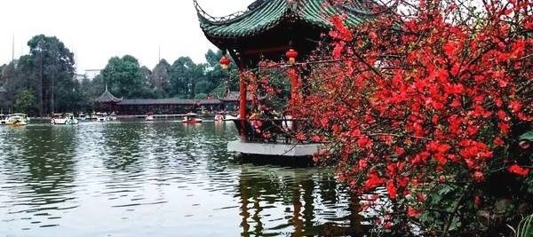 成都周边春色最撩人的8个地方,美到少女心炸裂!