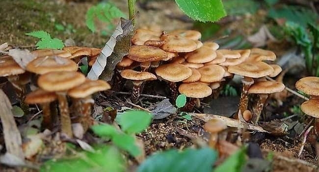 ���˶��°�֢������֢���������Ⱥ���ǿ�ٱ������һ��������֪��