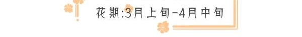 成都周边春色最撩人的8个地方,美到少女心炸裂!