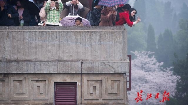 十堰郁金香文化旅游节开幕 凭高速过路费小票可优惠10元