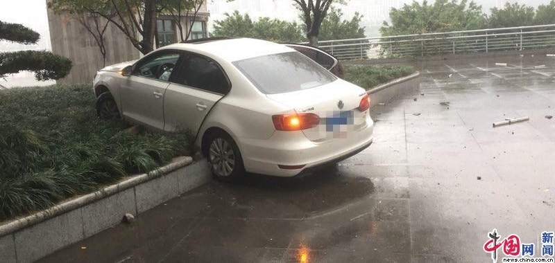 �������н�Ѳ��֧��:＂���ŵ�ɲ��＂ ���¹ʰ�����20�� 90%ΪŮ��ʻԱ
