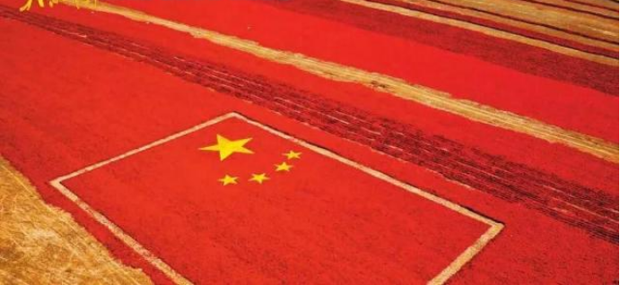 《厉害了,我的国》:当代中国的内在逻辑