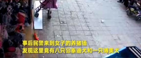 男子造假房产证、冒充梁静茹,诈骗数百万!谁给他的勇气?!