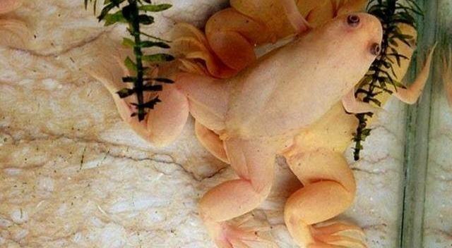 ���ӹ������ַ�ɫ���ܣ���֪��ʵ���������ֿ��˻���