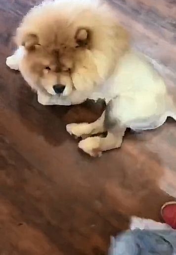����ȥ���Ѽ����ͣ������������Ĺ��������������ʱ�Ż���