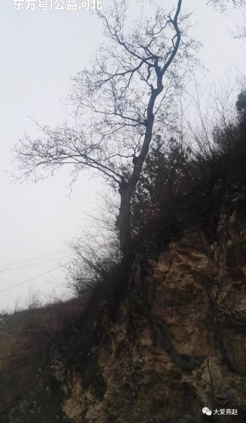 ���裬�ٰ���һ�Σ�