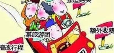 ��ʡ����2017ʮ������Ͷ���ȵ� ���õ��ӵ�����Ͷ�߸߾Ӱ���