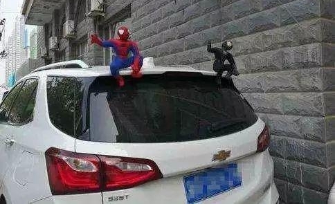 �����Ǽ����������š�֩�������������Ѿ����������ˣ�