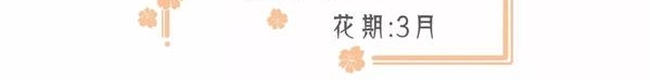 成都周边春色最撩人的8个地方,美到少女心炸裂!