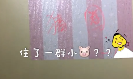 Ů������ȡ����ħ�ɱ��������磬��Ϊ�����ﶼ����Ů�����Ǳ���