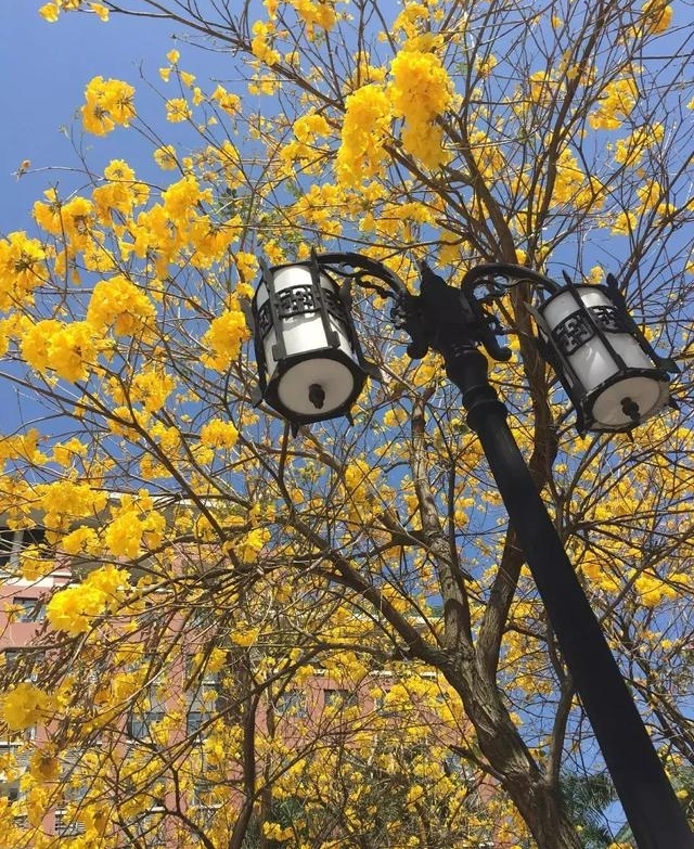 ���ݻ�ũ�Ļ��������ޣ����û����ɾ���