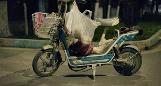 成都阿姨为大学流浪猫开“深夜食堂”:收入虽微,十年不打烊