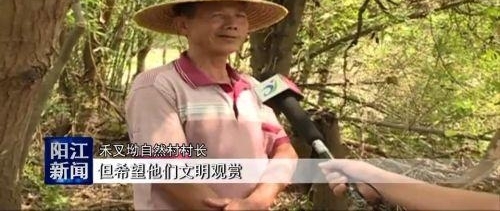 ���޺�ȸ������ ��ҵ���Ž������