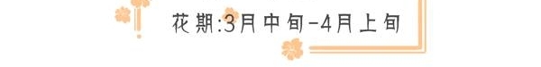 成都周边春色最撩人的8个地方,美到少女心炸裂!