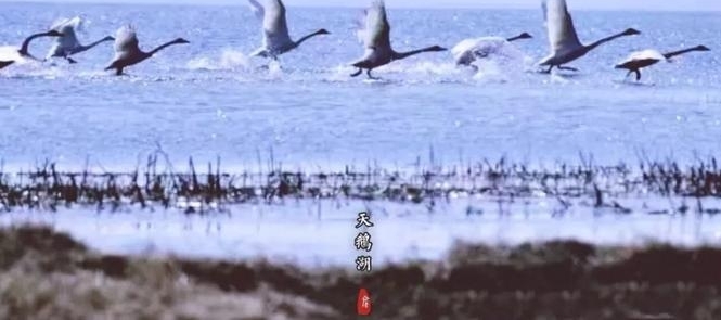 �����ۼ��������ۡ�׳�۳���������Ӱ���������ο�