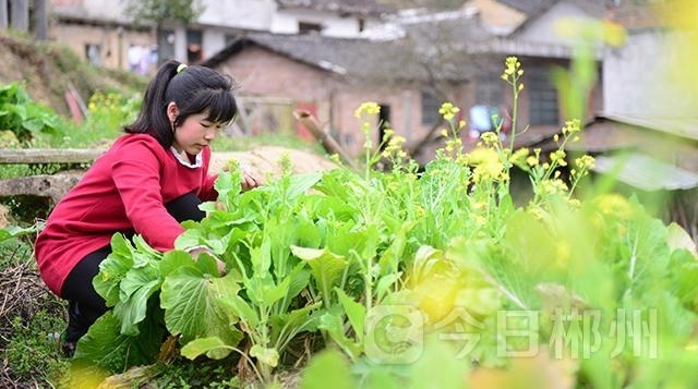 这个宜章“00后”被评为中华慈孝人物
