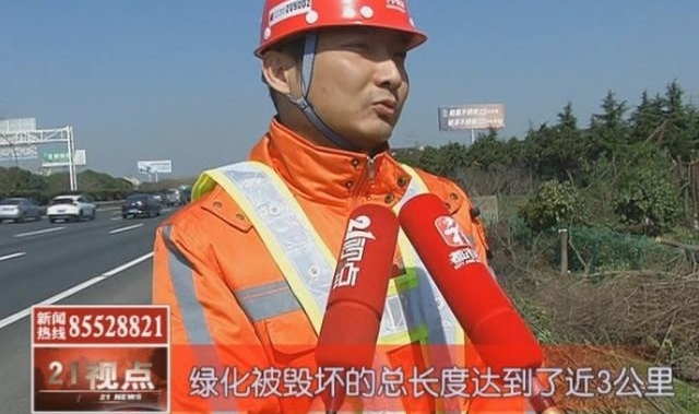 可恶!沪宁高速无锡段千棵树木被偷偷“斩首” 绵延长达三公里
