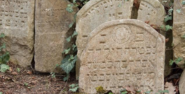 ĸ�ײ�Σ�����������סԺ������ȴ�����ʮ��Ҫǿ��ĸ�׳�Ժ