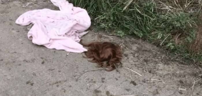 男子桥下发现女子裸尸,吓到腿软报警, 警察到场后十分尴尬