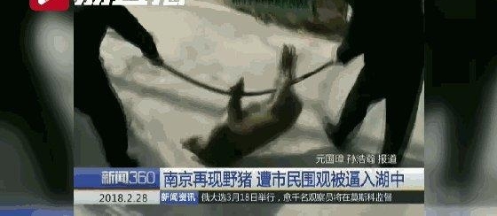 Ұ����㳡�����˷��Χ�� ���ŵ�����