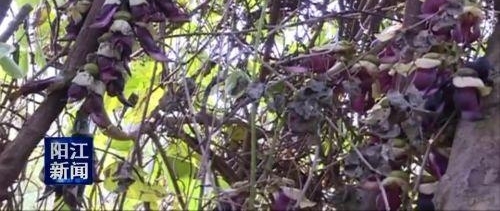 ���޺�ȸ������ ��ҵ���Ž������
