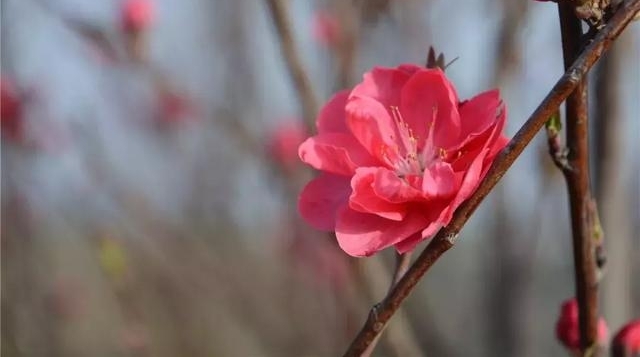û���Ķ仨�ܽ���ס  ��������  �ⳡ���µ�����