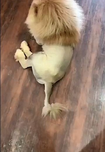 ����ȥ���Ѽ����ͣ������������Ĺ��������������ʱ�Ż���