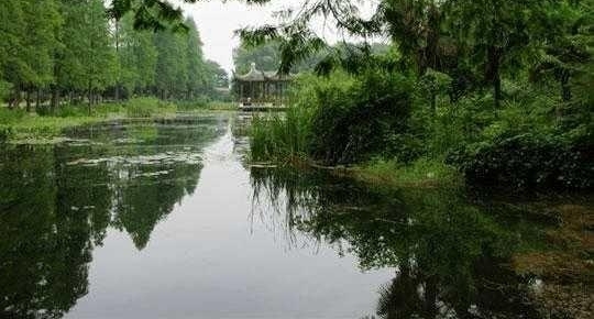 湖北最土豪的村,是湖北现代化功能齐备的中心村