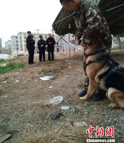 巾帼不让须眉 美女宠物店长“变身”成为警犬训导员