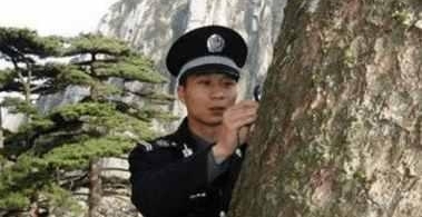 原来迎客松的待遇这么好! 为这些人点赞!