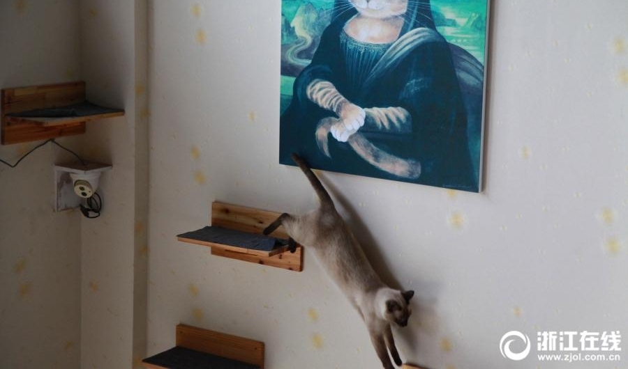���ݴ��ѧ����ҵ���ϰ� ����10��ֻè����Ա����