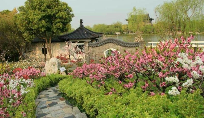 吃、住、行、游、购、娱,今年的上海桃花节你可以这样玩出新意