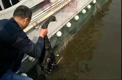 ��ͨ婺ӷ羰���ġ����족����챻���������Ĵ��ˡ�Ӣ�۾�����