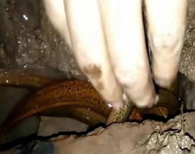 С���ӰῪ������һ��ש���������һ����Ѩ���ջ�һ�Ѵ�ϲ