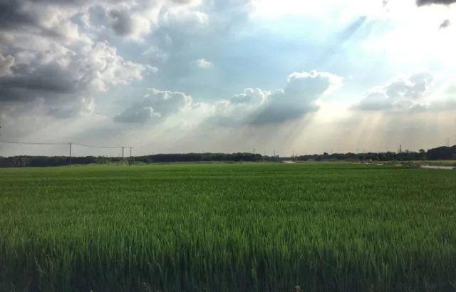 ��һС���������棿��Ұ��԰��һ�ؼ�