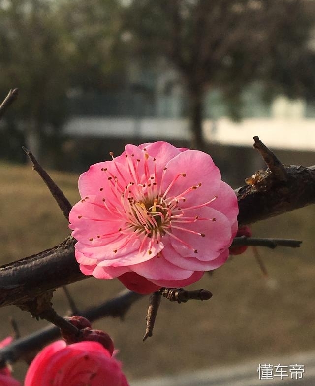 在东莞打工的人越来越少,他们都去哪里了呢?