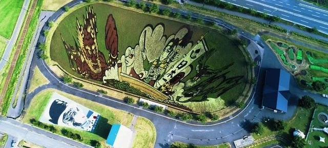 日本人种水稻竟然种出一幅画,稻田变旅游胜地