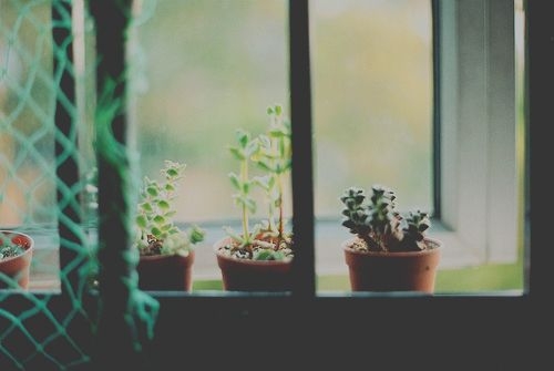 ̤ ֻɽ