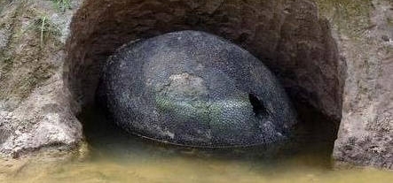 河边发现长满黑色鳞片的“石蛋” 经鉴定约一万年前古老生物