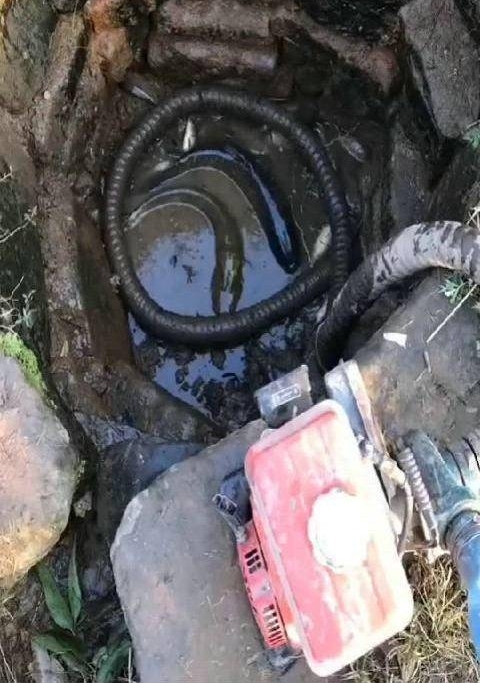 ũ��ˮ���޹���룬С���ɺ�ȴ�õ����⾪ϲ
