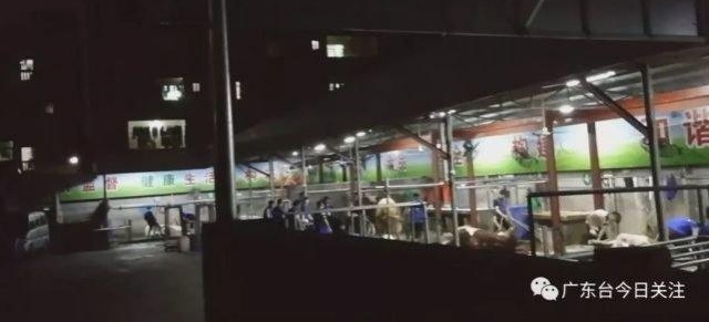 ���ˣ���ݸ������������������עˮţ��