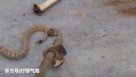��������Ů����к󣬽����߿�Ϊ���Σ�������һĻ������ס�˺���