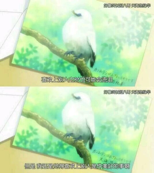 һϲ ŷ