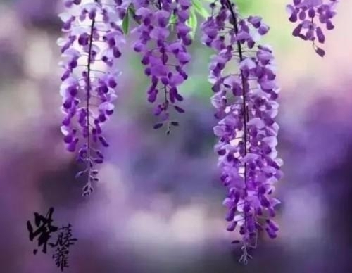 ����ס����԰������150�����ˣ�������ô����