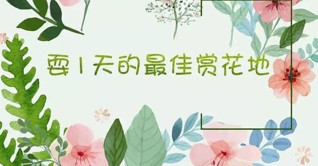 ����������ˣ8�죬˭������ȥ�Ķ��ͻ�����������΢��ֱ����ta